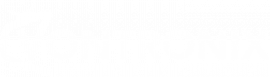 Vontronix_white logo